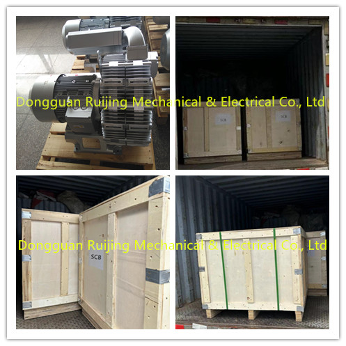 Ship Regenerative Blower To Japan